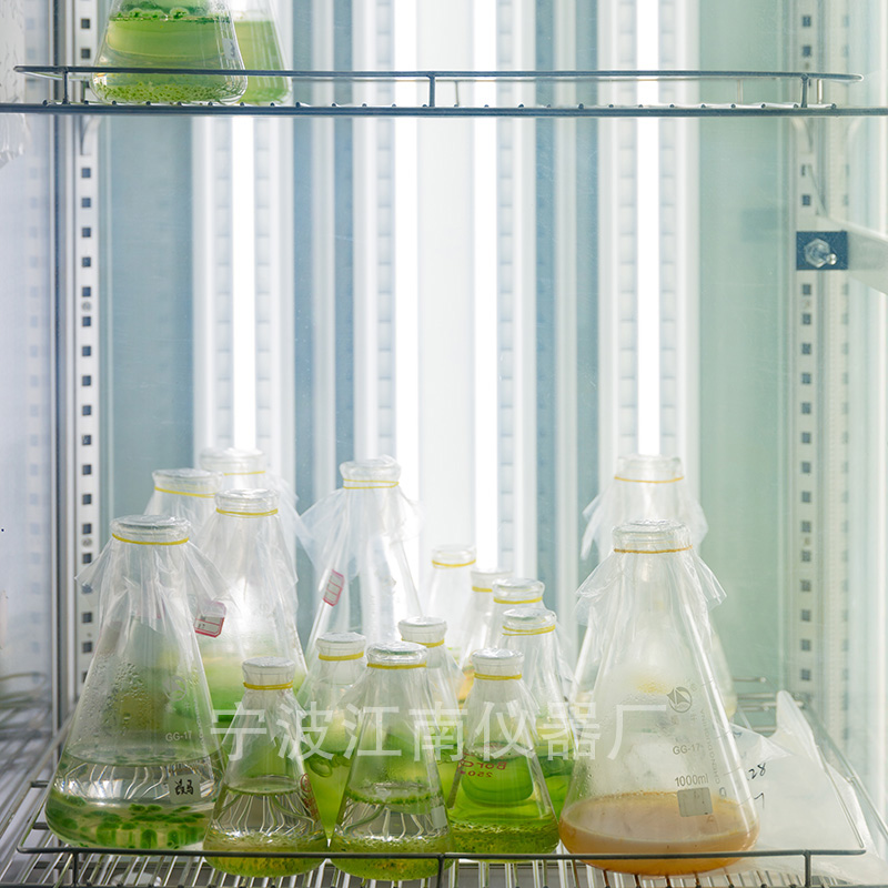 寧波江南儀器廠_人工氣候培養(yǎng)箱,光照培養(yǎng)箱,植物生長培養(yǎng)類箱體